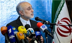 ایران ناقض برجام نخواهد بود/ دستمان بسته نیست/گلایه‌هایمان را به آمانو منتقل کردیم