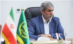 دلالان عامل افزایش قیمت گوشت گوسفندی/ آنفلوانزای پرندگان متهم اصلی افزایش قیمت تخم‌مرغ