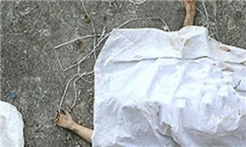 قتل عام 8 عضو یک خانواده در ایرانشهر/ عوامل اصلی جنایت تحت تعقیب پلیس‌ هستند