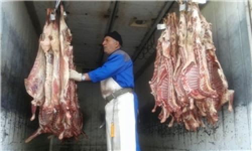عرضه گوشت به نرخ دولتی در ۶ میدان تره‌بار تهران/ گوشت گوسفندی کیلویی ۳۱۵۰۰ تومان
