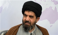 همه دستاورد برجام فقط خرید یک هواپیما بود؟/ صالحی قسم جلاله خورد در برجام ضرر نمی‌کنیم