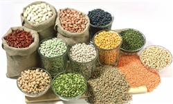 عدم رسیدگی به تولیدات کشاورزی موجب افزایش روزافزون سرطان شده است/ محصولات تراریخته سرطان‌زاست