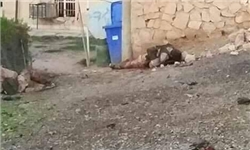 حملات انتحاری در شمال تکریت عراق