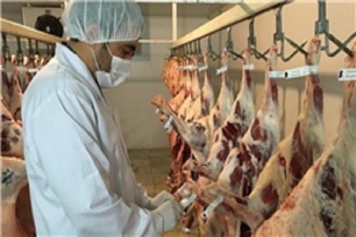 قطع همکاری با یک کشتارگاه غیراستاندارد برزیلی/مراحل واردات گوشت سختگیرانه است