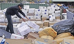 هیچ رکوردی برای واردات رسمی کالای دختر وزیر وجود ندارد/ مسئولان اسناد گمرکی را منتشر کنند