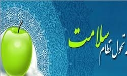 قسمت عمده بودجه طرح تحول به قشر پولدار رسید/ در این 4 سال تعداد زیادی آدم پولدار عمل کردم