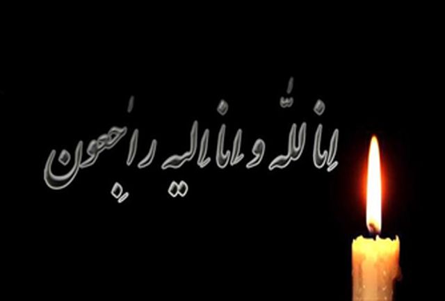 سیدحسین حسینی درگذشت 