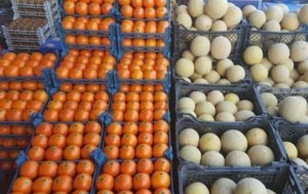 میوه‌های ایرانی به قطر رسید