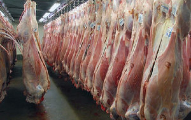 افزایش مجدد قیمت گوشت گوسفندی
