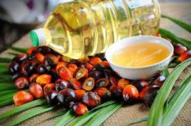 افزایش چشمگیر واردات روغن پالم در سال جاری