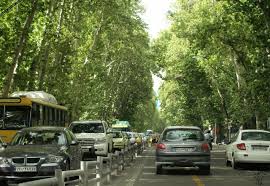 خیابان ولیعصر "بی درخت" می شود؟