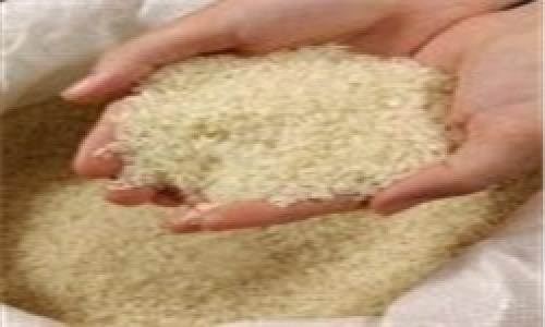 تقلب در بازار برنج کشور