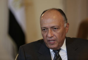  مصر آماده مذاکره برای حل بحران با قطر هستیم