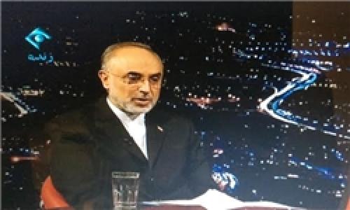 آمریکا بازی درآورده و می خواهد برجام را با هزینه ایران عقیم کرده و از بین ببرد