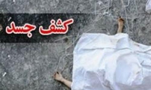 کشف جسد سوخته شده در فضای سبز بزرگراه صیاد شیرازی