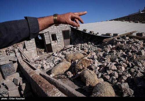 حکایت مهمترین سرویس بهداشتی یک شهر زلزله زده + تصاویر