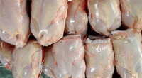 توزیع 70 هزار تن دیگر از ذخایر مرغ