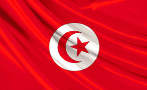 حمایت پارلمان تونس از ایران و حزب الله