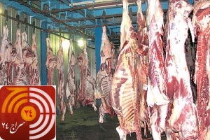 آغاز توزیع گوشت منجمد استرالیایی 