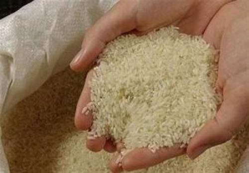 برنج دوباره وارد می‌شود؟