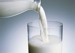 شیر گران می‌شود؟