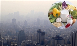 در هوای آلوده نوشابه و فست فود نخورید/ افزایش مقاومت بدن در هوای آلوده با مصرف «آنتی اکسیدان‌ها»