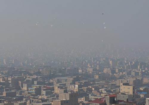  آلودگی هوا چگونه باعث ایجاد سرطان می‌شود؟