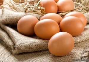 عامل اصلی گرانی تخم مرغ چیست؟