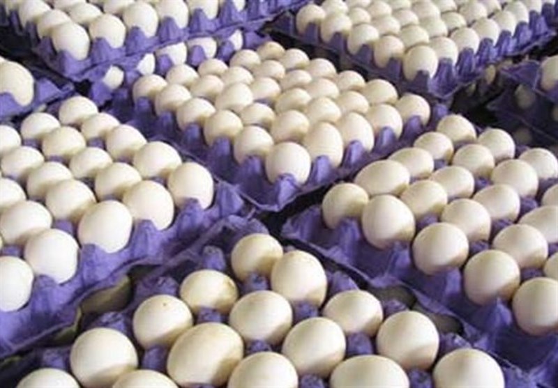  تخم مرغ شانه ای ۱۲۵۰۰ تومان شد، گران تر نخرید