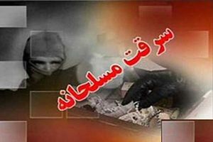 ردپای سرایدار در سرقت خشن +عکس