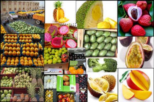 عرضه ۵ نوع میوه ممنوعه خارجی در میدان مرکزی