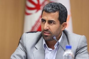 مؤسسات مالی غیرمجاز چه زمانی تعیین تکلیف میشوند؟