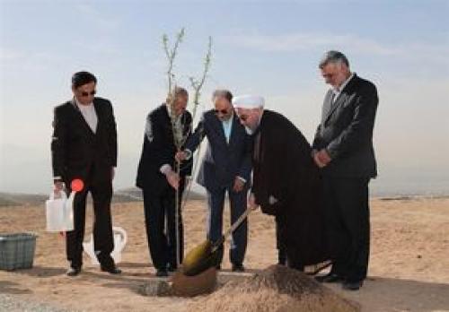 روحانی: همه مردم در طرح درختکاری مشارکت کنند