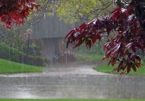 کاهش ۴۹ درصدی بارش نسبت به سال گذشته