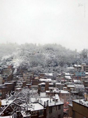 عکس/ بارش شدید برف در روستای میگون تهران