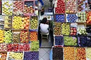 قیمت عمده فروشی انواع میوه +جدول