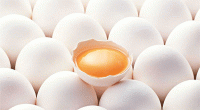 عرضه مستقیم تخم‌مرغ 6400 تومانی