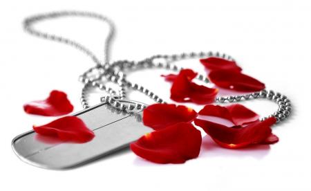 بیوگرافی شهید حسین غزنوی