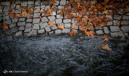 تهران به رنگ پاییز+عکس‌ها
