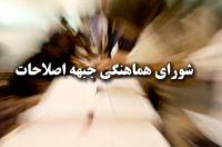 کاندیدای نهائی جریان اصلاحات را شورای هماهنگی تعیین می‌کند