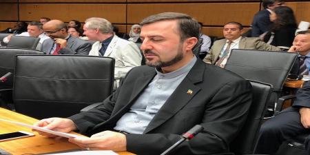 یک ایرانی به عنوان معاون اول کمیسیون  موادمخدر سازمان ملل انتخاب شد