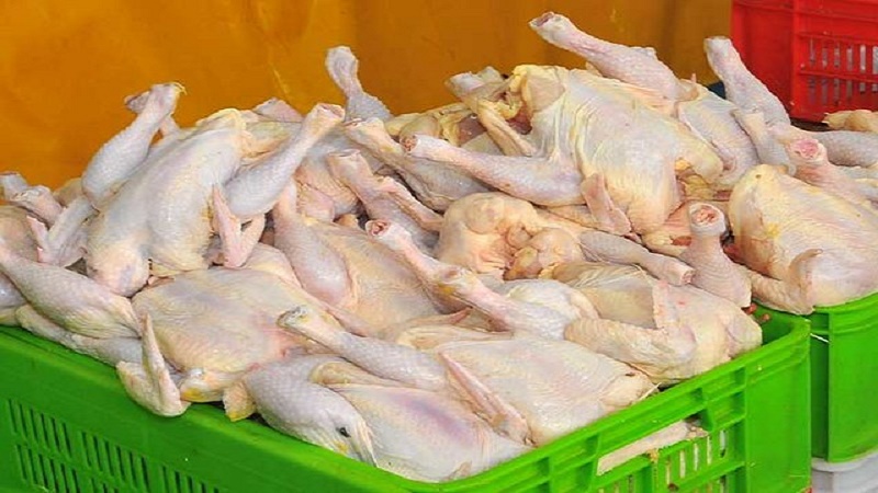 نرخ هر کیلو مرغ زنده درب مرغداری ۸ هزار و‌۷۰۰