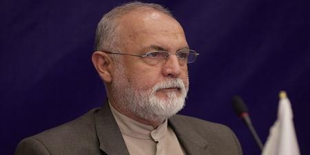 شهنازی: چرا کمیته ملی المپیک عضو مجمع فدراسیون نیست؟
