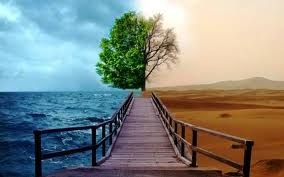 فرهنگ زیست محیطی نداریم