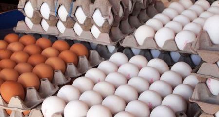 قیمت تمام شده تولید تخم مرغ ۲۰ درصد افزایش یافت
