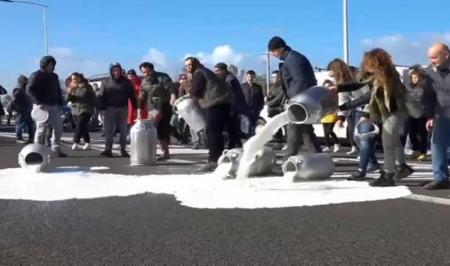 ریختن شیر در کف خیابان در اعتراض به نرخ پایین شیر + فیلم