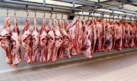 ۴ تن گوشت احتکار شده در تهران کشف شد