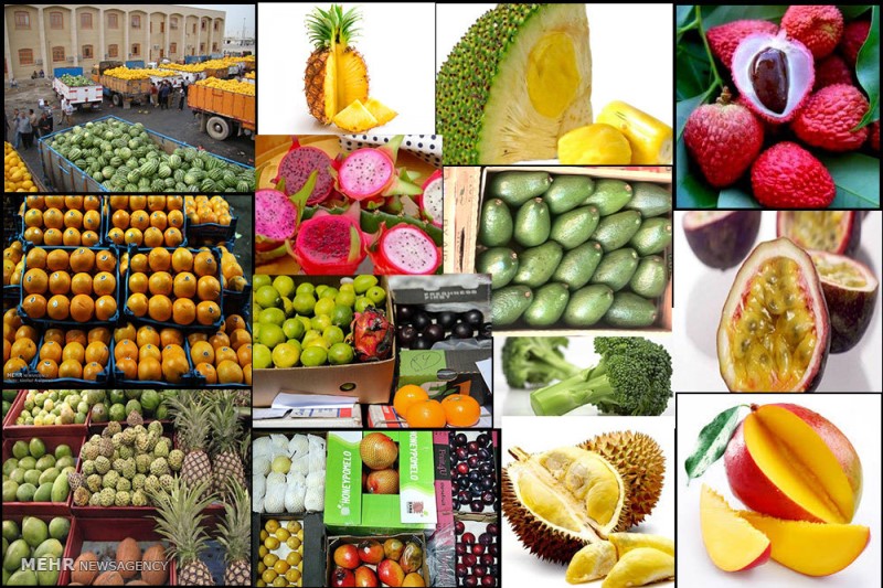 فروش میوه قاچاق در یک فروشگاه اینترنتی+تصاویر