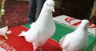 شهادت سردار طباطبائی در حین انجام ماموریت‌