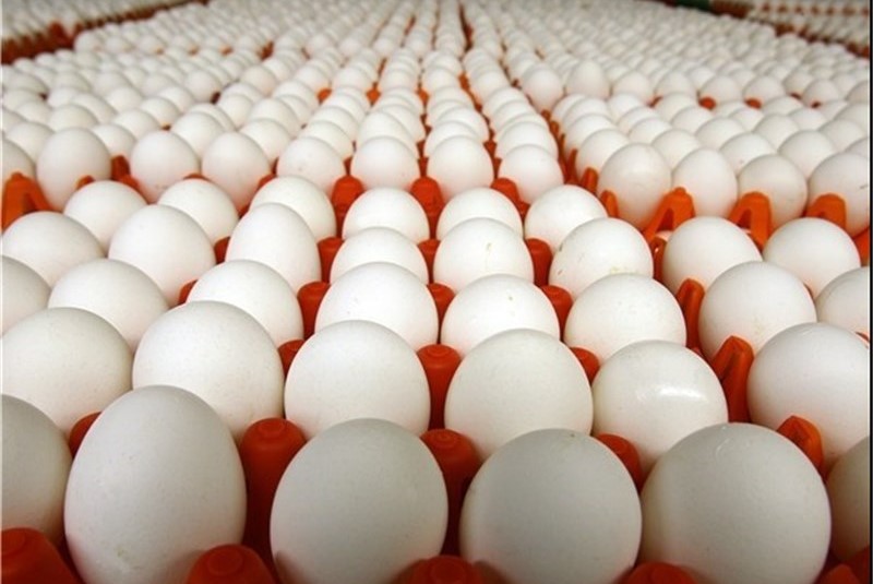  تخم مرغ داخلی پوسته سفید (بسته بندی و غیر بسته بندی)+جدول